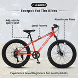 ZNTS S24109 24 Inch Fat Tire Bike Adult/Youth Full Shimano 7 Speeds Mountain Bike, Dual Disc Brake, W1856107353