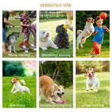 Dog Agility Equipment Set of Eight Cones 77882220