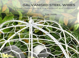 Crop Cage /Garden Cloches 11047825