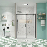 Glass shower door, sliding door, with 5/16" tempered glass and Matted Black finish 5474 W2122P229053