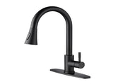 Kitchen Faucet with Pull Out Spraye 34863957