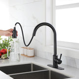 Touch Kitchen Faucet with Pull Down Sprayer W928P318996