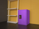 24" H Locker Cabinet, Metal Locker Cabinet with 1 Doors, Small Metal Locker,Lockable W396100782