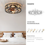 Caged Ceiling Fan with Lights Remote Control, Low Profile Flush Mount Farmhouse Modern Ceiling fans, W1340103796
