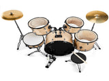 Full Size Adult Drum Set 5-Piece Champagne with Bass Drum, two Tom Drum, Snare Drum, Floor Tom, 16" 20420021
