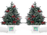 2 Pack 3FT Pre-Lit Snow Flocked Christmas Trees, Green PVC PE Pine Needle Foliage with 264 Tips, Red 09524057