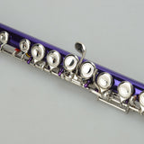 Cupronickel C 16 Closed Holes Concert Band Flute Purple 93412318