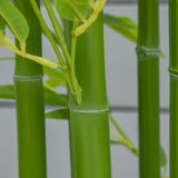 Artificial palm trees/Green plants 49223358