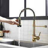 Commercial Black and Gold Kitchen Faucet with Pull Down Sprayer, Single Handle Single Lever Kitchen W1932P172327