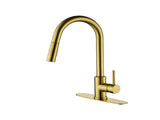Kitchen Faucet with Pull Down Sprayer W2287P152910
