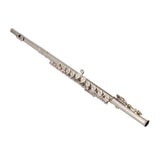 ZNTS Nickel Plated C Closed Hole Concert Band Flute Silver 38901446