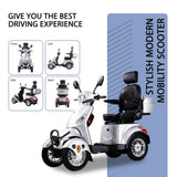 ZNTS ELECTRIC MOBILITY SCOOTER WITH BIG SIZE ,HIGH POWER W1171P182288