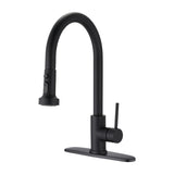 Stainless Steel Pull Down Kitchen Faucet with Sprayer Matte Black JYBB412MB