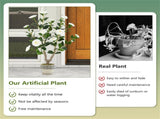 2 Pack White Artificial Camellia Tree with Blooming Flower 75346222