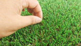 5FT x 10FT Artificial Turf for Dogs - Professional Large Outdoor Pet Lawn Mat with Drainage Holes W3280P334789