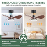 24" Black small Ceiling Fan with Light remote control ,Modern Low Profile Ceiling Fan, 6-Speeds W2352P224344