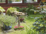 Bird Bath /Bird Feeder Bowl 98953562