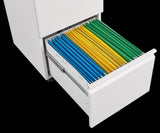 Metal 2 Drawer Mobile File Cabinet with Lock, Under Desk Office Steel Filing Cabinet, 25.6''H W1247125572