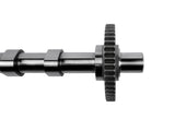 Camshaft Intake & Exhuast Replacement for Audi VW 2.0 TFSI BZB CBFA CCTA A3 Jetta Golf MK5 49069053