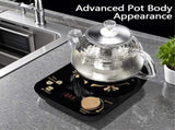 Professional multi-functional glass teapot 800ml fast heating, cooking and brewing integrated 54342656
