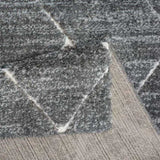 Talas Trellis Area Rug in Grey and Cream B03597989