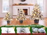 3Piece Flocked PreLit Christmas Tree Set, 3FT 4FT 5FT Potted Artificial Tree with Warm White LED 3 N710P513662K