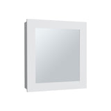 Luma Medicine Cabinet with Mirror Door 20.5" High Cabinet Organizer with Two interior Shelves for B200P235863