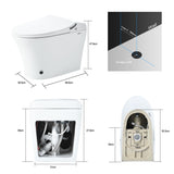 ZNTS Luxury Smart Toilet with Dryer and warm water, Elongated Bidet Toilet with Heated Seat, with Remote WF314235AAA