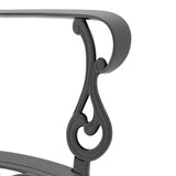 Cast Aluminum Patio Dining Chair 2PCS With Black Frame and Cushions In Random Colors W1710P166005