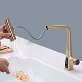 Brushed Gold Waterfall Kitchen Faucet with Temperature Display, Single Handle Kitchen Faucet with W1217P146518