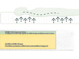 MADE IN US, 6" TWIN SIZE Green Tea Memory Foam Mattress in Box, Fiberglass Free, White W311P371345