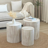 Set of 3 Whitewash Wood Coffee Table with clear and visible tree rings W2729P209831