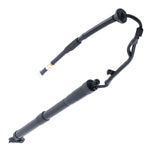 1X Rear Left Tailgate Power Hatch Lift Support Strut fit for Toyota RAV4 2013-2018 86839536