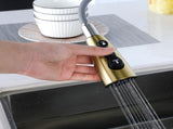 Gold Kitchen Faucets with Pull Down Sprayer, Kitchen Sink Faucet with Pull Out Sprayer,Fingerprint 93404954