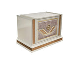 Omari Modern Style 2-Drawer Night stand Made with Wood and Gold Accents in Beige B009P245442