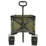 Utility Park Garden Cart Tool Customized Color Folding Camping Trolley Outdoor Picnic Beach Wagon, W321P297100