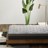 CS Hybrid Pocket Coil 12" Queen Mattress B337P293522