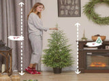 Set of 2 Artificial Christmas Tree 43528011