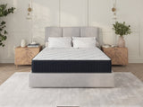 Assembled in USA - 10" Queen Nest Basic Innerspring Hybrid Mattress, Pressure Relief, and Motion B2721P345917