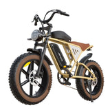 ZNTS Electric Bike 20" x 4.0 Electric Bike for Adults with 750W Brushless Motor, 48V 34Ah Removable Dual W2002P169950
