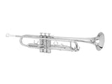 Brass Trumpet Bb with 7C Mouthpiece for Standard Student or Beginner Silver 03408510
