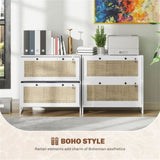 File Cabinet/ Storage cabinet 74438568