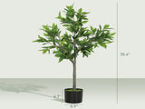 Artificial Plant/Green plants 13793851
