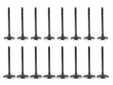 8X Intake Valves 8X Exhaust Valves Replacement for Toyota RAV4 Corolla Scion tC xB 2AZ-FE 48355106