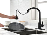 Black Kitchen Faucet, Kitchen Faucets with Pull Down Sprayer Commercial Stainless Steel Single 43249908