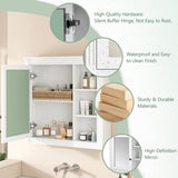 Bathroom Medicine Cabinet with Mirror, Wall Mounted Mirror Cabinet with Storage Organizer, Over the N710P209436K