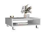 Coffee Table 10.6" H, 1 shelf, 4 legs, White B097P250872