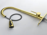 Gold Kitchen Faucets with Pull Down Sprayer, Kitchen Sink Faucet with Pull Out Sprayer,Fingerprint 93404954