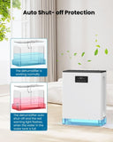 ZNTS BIZEWO Dehumidifier for Home, 101 oz Water Tank, Dehumidifiers for Basement, Bathroom, 12776999