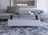 Tilton Rectangle Lift Top Coffee Table White Oak B06280628